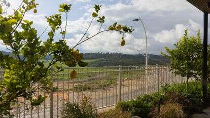 משפחת אלנקווה, גבעות עדן | לירון מולדובן