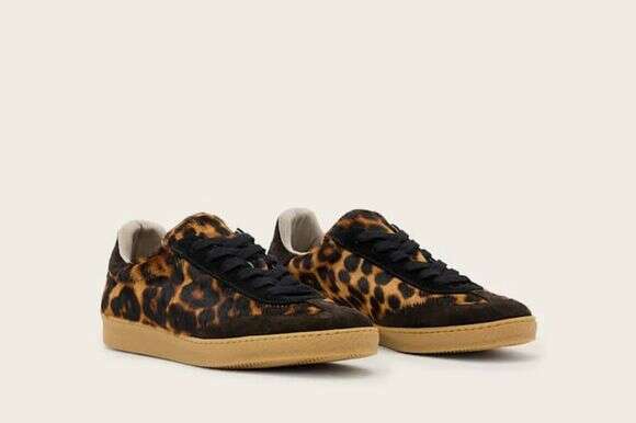 אולסיינטס 500 ש"ח | יח"צ חו"ל אולסיינטס 500 ש"ח | יח"צ חו"ל