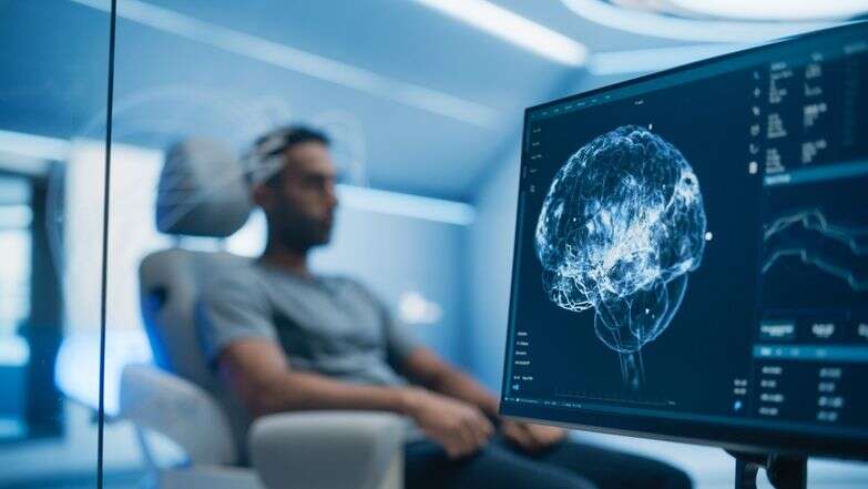 המוח | שאטרסטוק המוח | שאטרסטוק