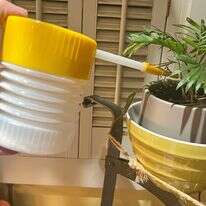 קוטל חרקים טבעי | ג'סיקה דמיאנו דרך AP