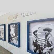 תערוכת בוקר | יח"צ