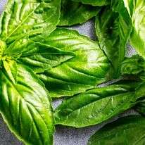 בזילקום | סקוט סוצ'מן עבור הוושינגטון פוסט