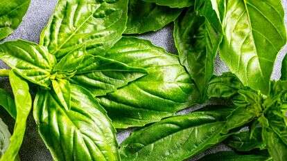 בזילקום | סקוט סוצ'מן עבור הוושינגטון פוסט