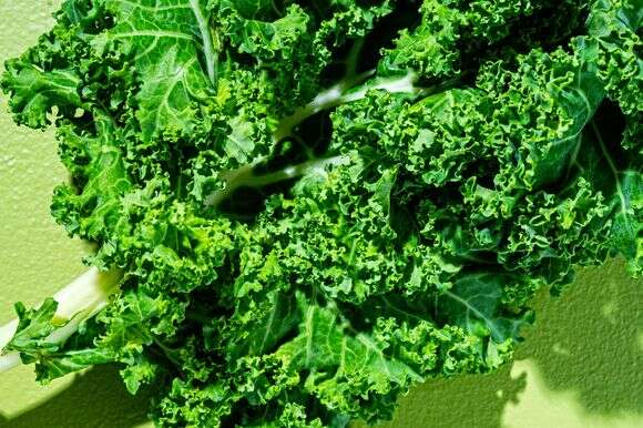 קייל | סקוט סוצ'מן עבור הוושינגטון פוסט