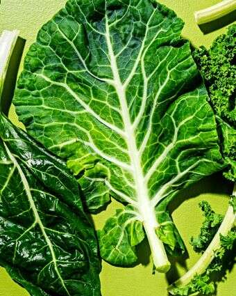 עלי החורף הירוקים | סקוט סוצ'מן עבור הוושינגטון פוסט