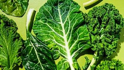 עלי החורף הירוקים | סקוט סוצ'מן עבור הוושינגטון פוסט