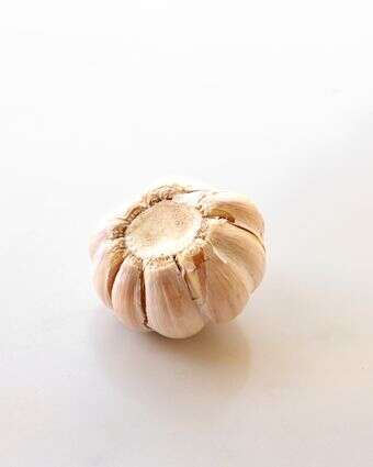 שום | אפרת ליכטנשטט שום | אפרת ליכטנשטט