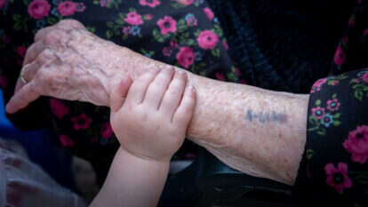 ניצולת השואה, רחל הרצל בת 96, אוחזת בדוד נחמן, כמעט בן שנה, דור חמישי | חיים גולדברג - פלאש 90 ניצולת השואה, רחל הרצל בת 96, אוחזת בדוד נחמן, כמעט בן שנה, דור חמישי | חיים גולדברג - פלאש 90