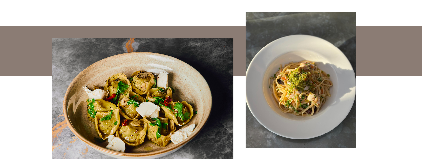 טליה כהן, שי תמיר