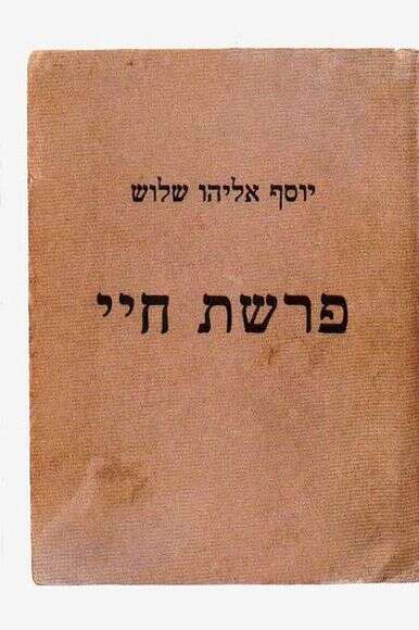 פרשת חיי | ללא