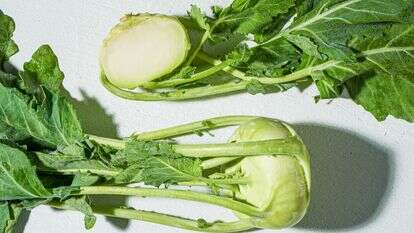 זה לא עב"ם. זה קולורבי | ריי לופז