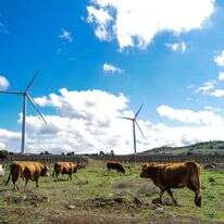 מזג האוויר, אילוסטרציה | מיכאל גלעדי, פלאש 90