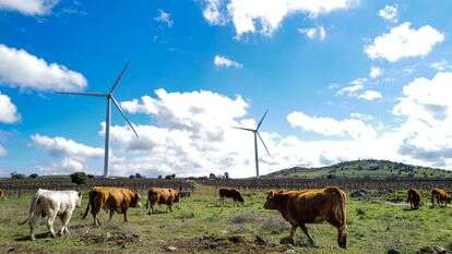 מזג האוויר, אילוסטרציה | מיכאל גלעדי, פלאש 90