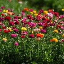 מזג האוויר, אילוסטרציה | אייל מרגולין, פלאש 90