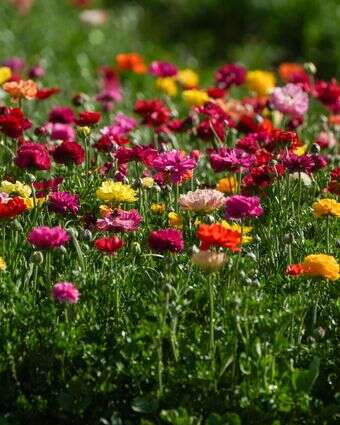 מזג האוויר, אילוסטרציה | אייל מרגולין, פלאש 90