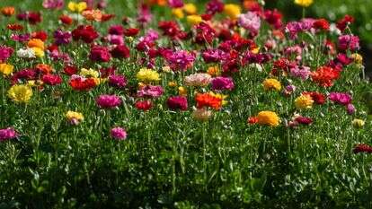 מזג האוויר, אילוסטרציה | אייל מרגולין, פלאש 90