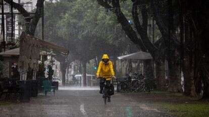 מזג האוויר, אילוסטרציה | מרים אלסטר, פלאש 90