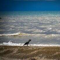 מזג האוויר, אילוסטרציה | מיכאל גלעדי, פלאש 90