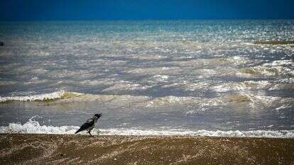מזג האוויר, אילוסטרציה | מיכאל גלעדי, פלאש 90