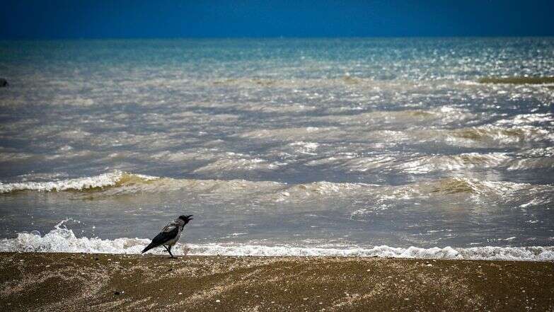 מזג האוויר, אילוסטרציה | מיכאל גלעדי, פלאש 90 מזג האוויר, אילוסטרציה | מיכאל גלעדי, פלאש 90