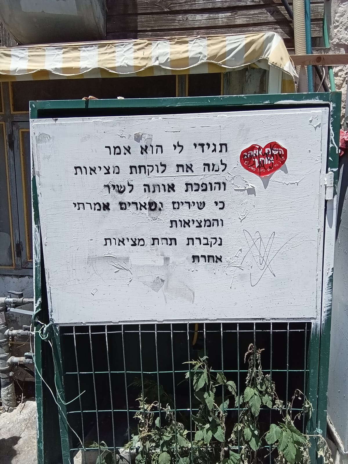 "כשאני יוצרת ברחוב נוצר חיבור בין הרוח למציאות", נחלאות | תמרה לילך־מזומן