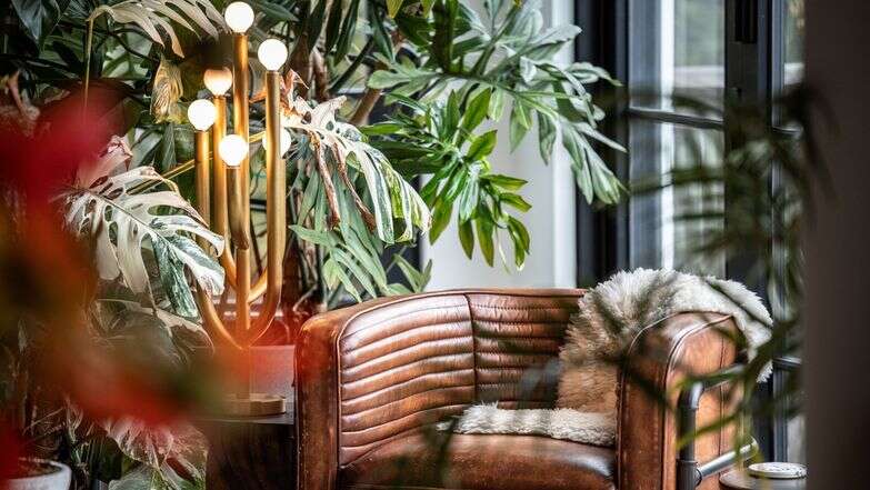 פינת ישיבה שבמרכזה צמחים | הילטון קרטר, דרך AP