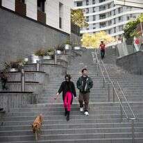 מטיילים עם הכלבים שלהם בתל אביב | מרים אלסטר/FLASH90