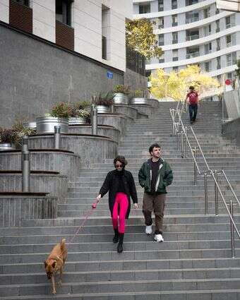 מטיילים עם הכלבים שלהם בתל אביב | מרים אלסטר/FLASH90