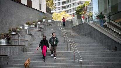 מטיילים עם הכלבים שלהם בתל אביב | מרים אלסטר/FLASH90