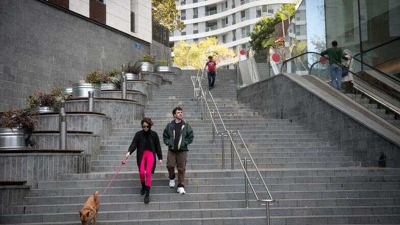 מטיילים עם הכלבים שלהם בתל אביב | מרים אלסטר/FLASH90