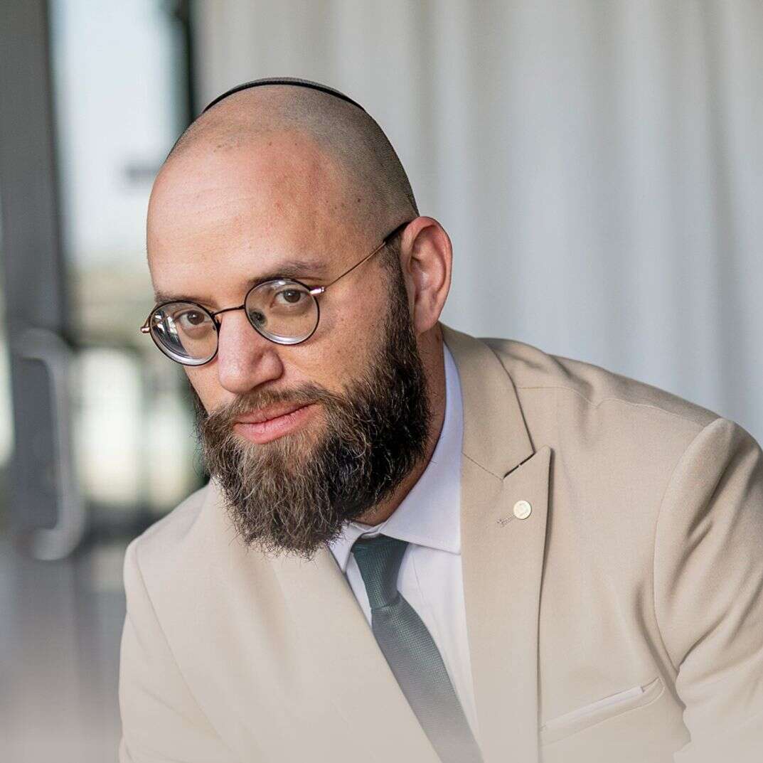 דוד נגד גלי | נעמה שטרן