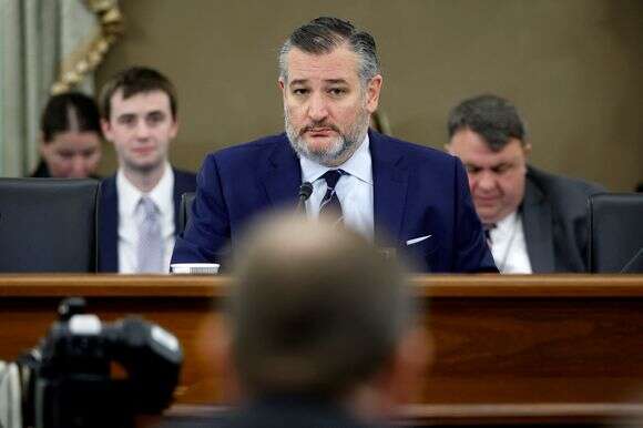 טד קרוז | איי. אף. פי