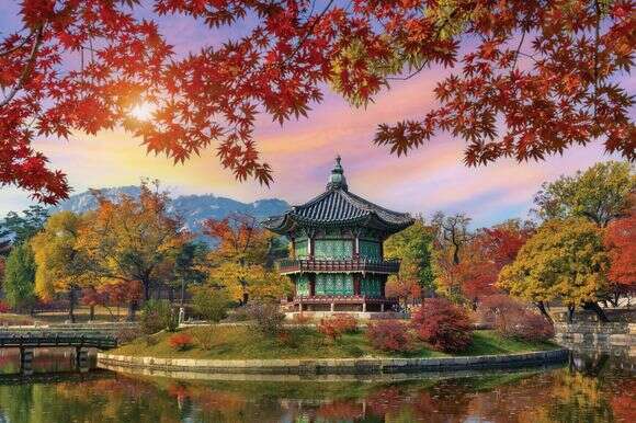 מטיילים במזרח | דוברות אל על