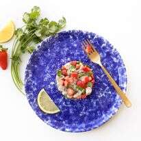 סביצ'ה | אפרת ליכטנשטט