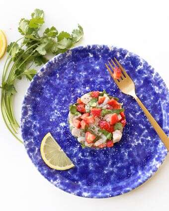 סביצ'ה | אפרת ליכטנשטט