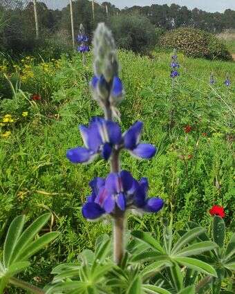 מערות אפקה | צ'ק אין אאוט