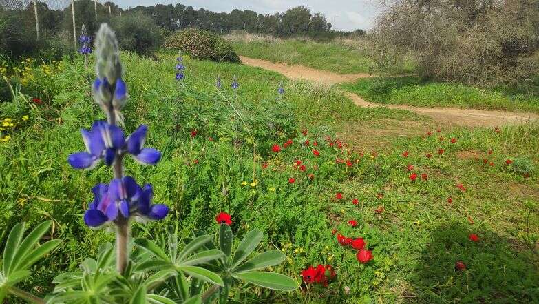 מערות אפקה | צ'ק אין אאוט