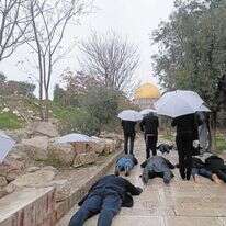 יהודים משתטחים בתפילה בהר הבית | איתי אליצור יהודים משתטחים בתפילה בהר הבית | איתי אליצור