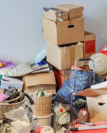 אגרנות, אילוסטרציה | שאטסרטוק