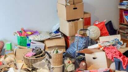 אגרנות, אילוסטרציה | שאטסרטוק