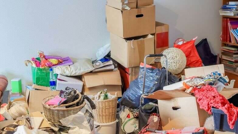 אגרנות, אילוסטרציה | שאטסרטוק