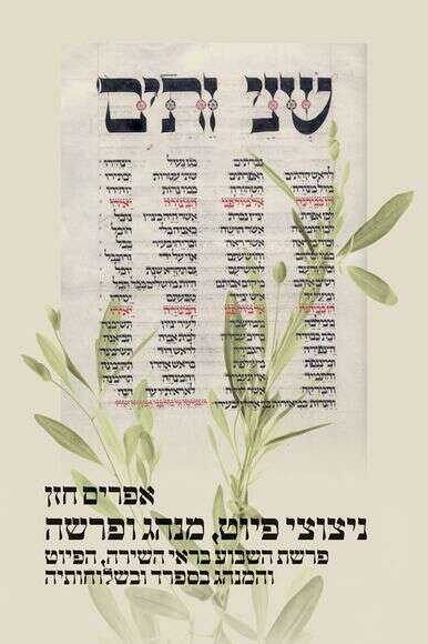 ניצוצי פיוט, מנהג ופרשה | ללא ניצוצי פיוט, מנהג ופרשה | ללא