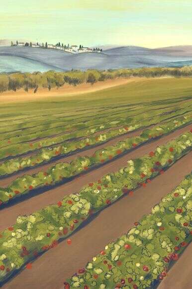 איור: שרון ארדיטי