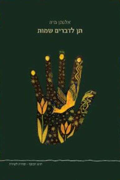 תן לדברים שמות | ללא תן לדברים שמות | ללא