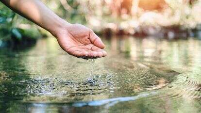 כמים הפנים אל הפנים | שאטרסטוק
