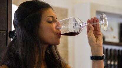 שתיית כוס יין ביקב פסגות | גארט מילס, פלאש 90