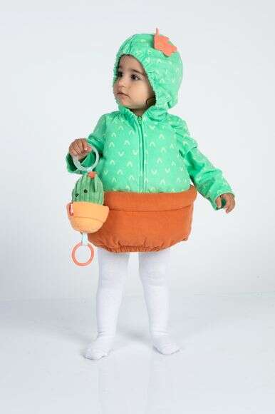 תחפושת קקטוס 79.90 ש"ח | יח"צ חו"ל קרטרס