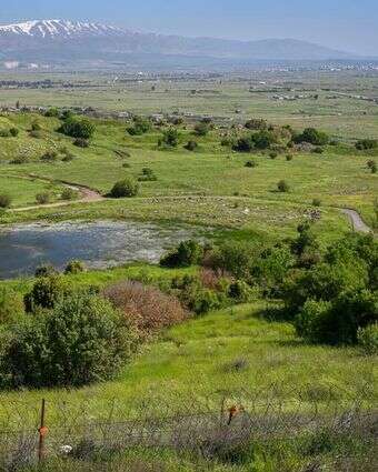 גבול ישראל-סוריה | מיכאל גלעדי, פלאש 90