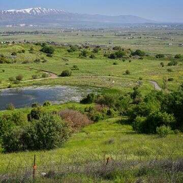גבול ישראל-סוריה | מיכאל גלעדי, פלאש 90