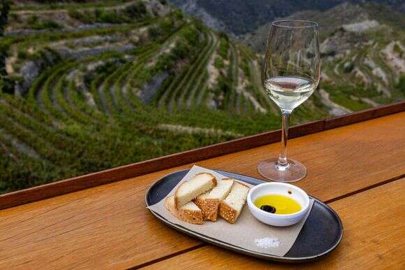 יין לבן | נתי שוחט, פלאש 90 יין לבן | נתי שוחט, פלאש 90